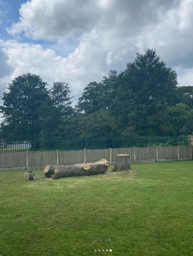 Felled tree trunk lying on a lawn after tree removal