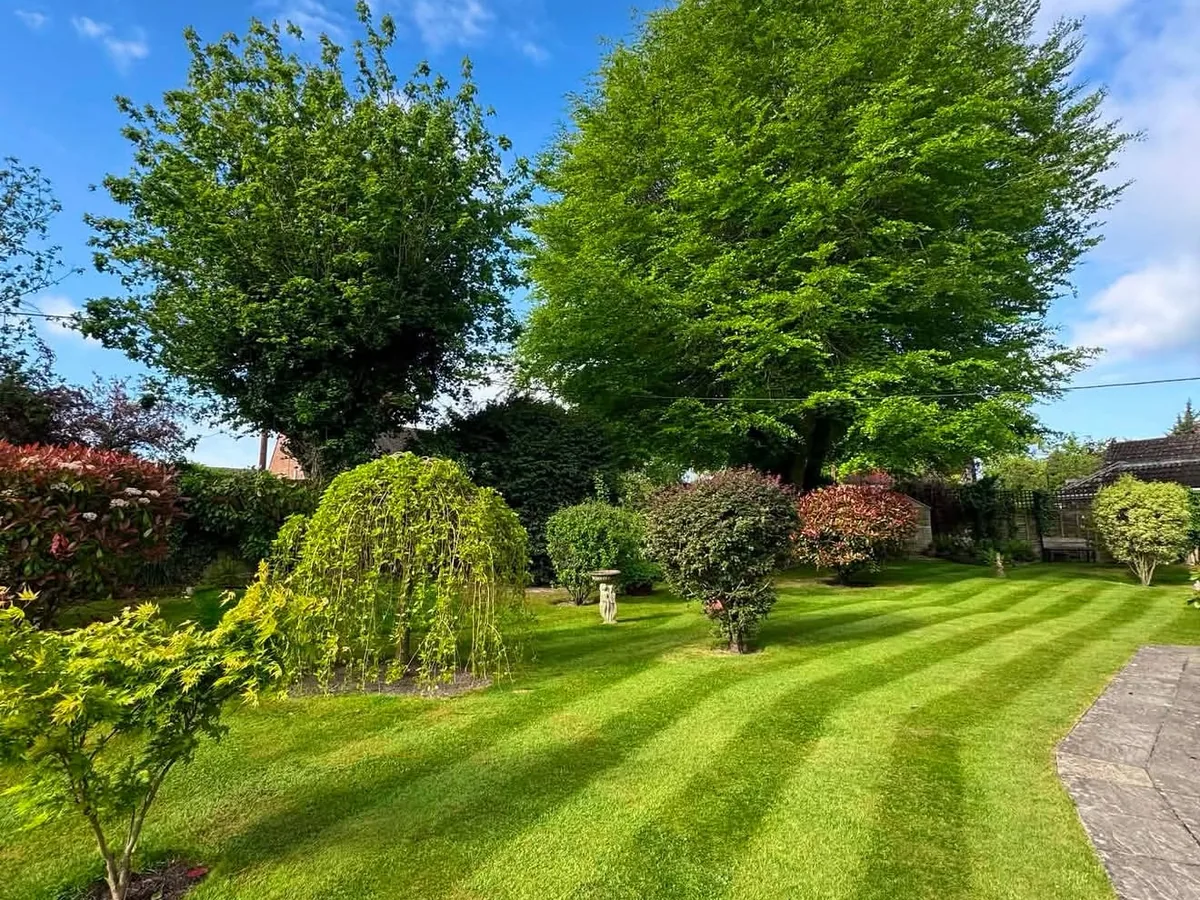 Manicured residential garden with a striped lawn, shaped shrubs, a stone birdbath and large mature trees