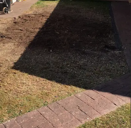 Ground left level after stump grinding