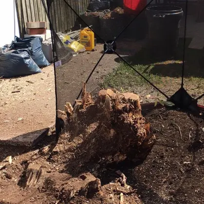 Tree stump dug out and lifted from a garden border